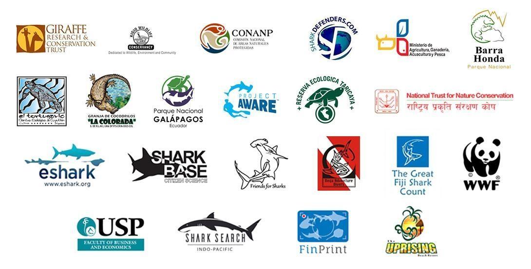 Our conservation partner organisations work together with our Projects Abroad volunteers to protect the environment. Projects Abroad volunteers work together with our conservation partner organisations to protect the environment.
